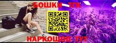 шишки Кимры