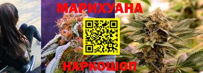 шишки Кимры