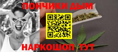 шишки Кимры