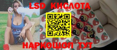 шишки Кимры
