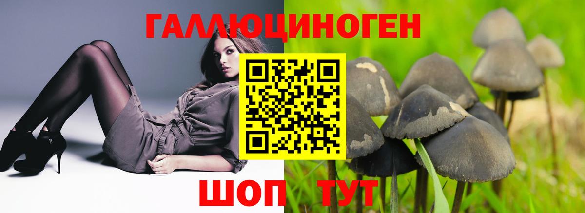 Псилоцибиновые грибы Cubensis  Вход с VPN  как найти закладки  Галлюциногенные грибы мицелий  Кузнецк 