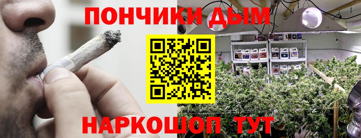 Кузнецк  Канабис THC 21%  Бошки марихуана план  Вход с VPN  Конопля SATIVA & INDICA 